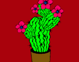 Dibujo Flores de cactus pintado por bbhj