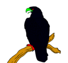 Dibujo Águila en una rama pintado por kjhgkjhgj