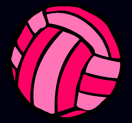 Pelota de voleibol