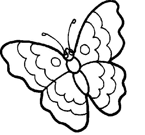 Mariposa