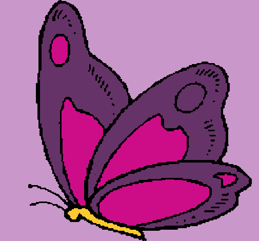 Mariposa