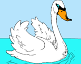 Dibujo Cisne en el agua pintado por agulinda