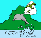 Dibujo Delfín y gaviota pintado por fgfgfgfg