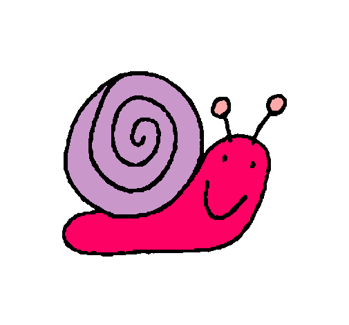 Caracol 4