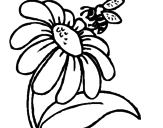 Dibujo Margarita con abeja pintado por Crytius