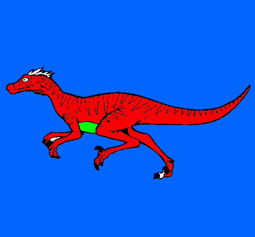 Velociraptor