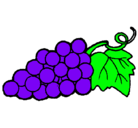 Dibujo racimo pintado por uvas