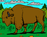 Dibujo Búfalo  pintado por chumel
