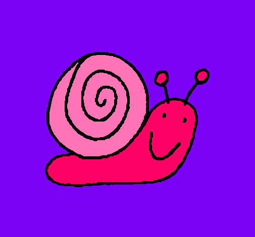 Caracol 4