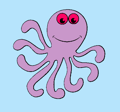 Pulpo 2