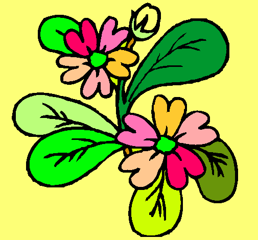 Dibujo de Flores pintado por Ceibo en  el día 01-11-11 a las  13:40:21. Imprime, pinta o colorea tus propios dibujos!