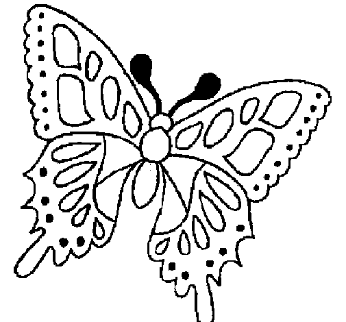 Mariposa