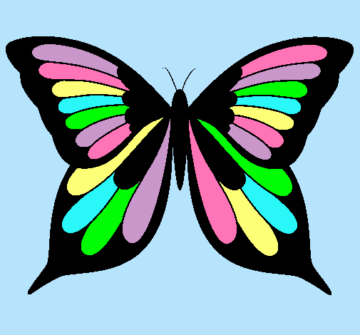 Mariposa