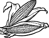 Dibujo Mazorca de maíz pintado por Crytius