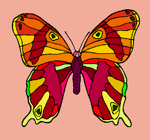 Mariposa