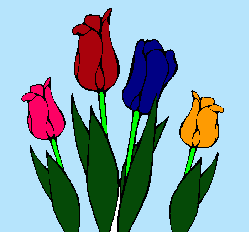 Tulipanes