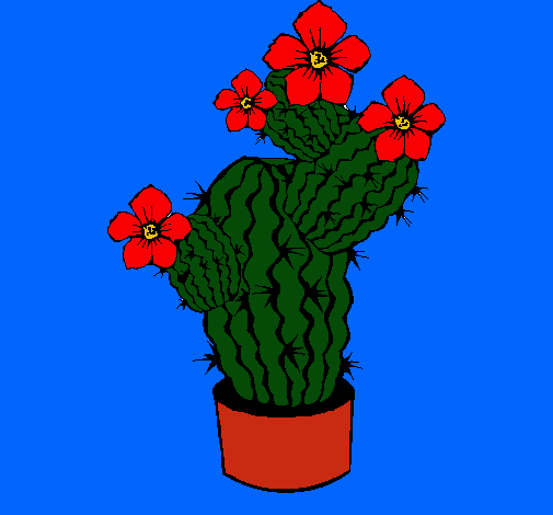 Flores de cactus