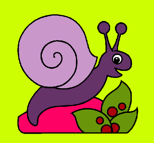 Caracol