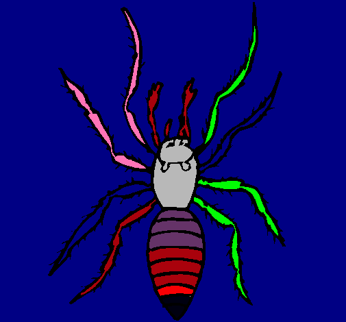 Araña tigre