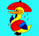 Dibujo Pato bajo la lluvia pintado por amalia
