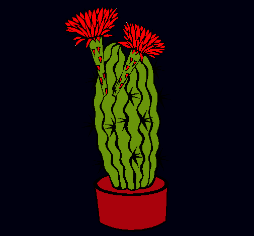 Cactus con flores