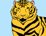 Dibujo Tigre pintado por SuperSweet