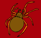 Dibujo Araña venenosa pintado por tarass