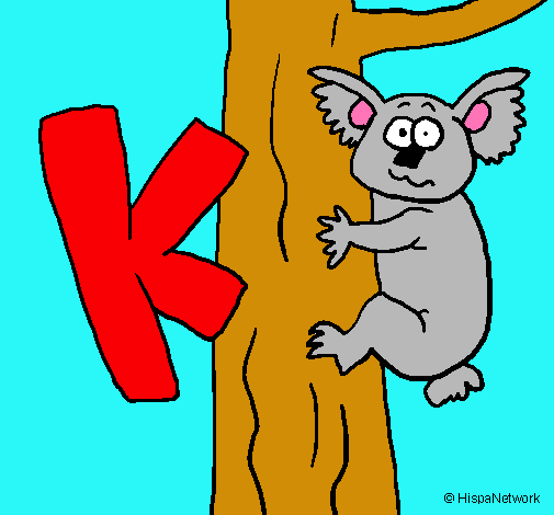 Koala