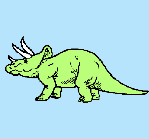 Triceratops