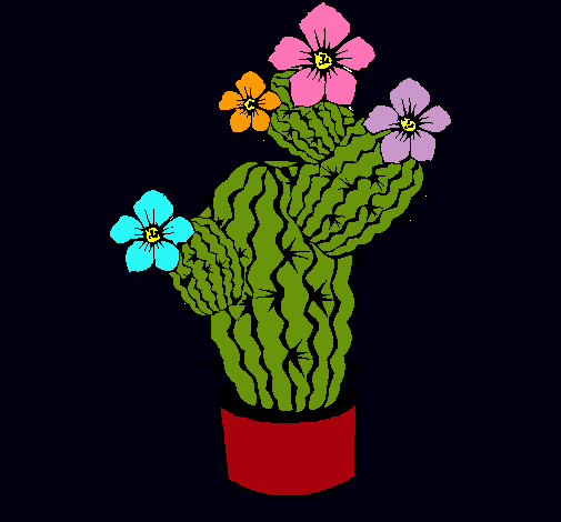 Flores de cactus