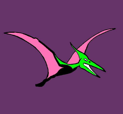 Pterodáctilo