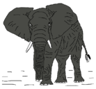Dibujo Elefante pintado por elefantes}