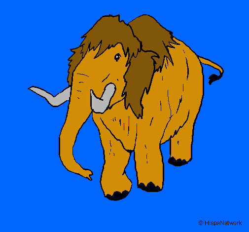 Mamut II