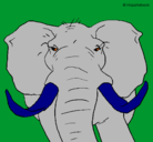 Dibujo Elefante africano pintado por jjhh 