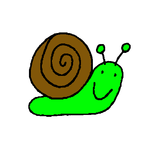 Caracol 4