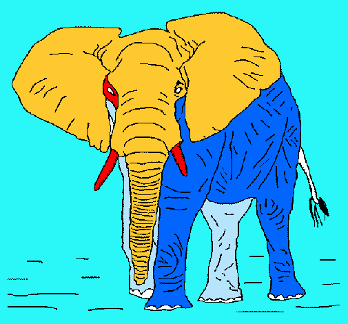 Elefante