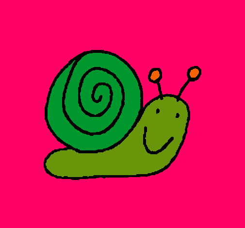 Caracol 4