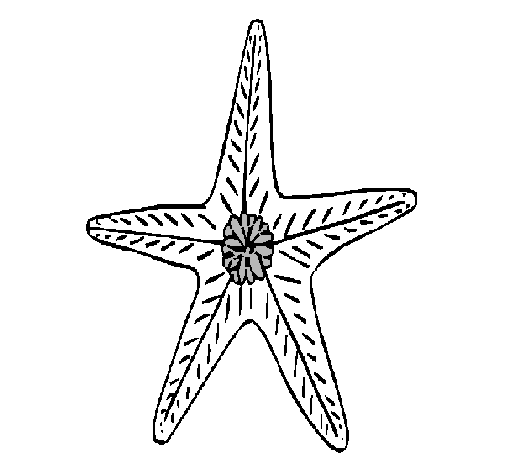 Dibujo Estrella de mar pintado por Iguitur