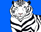 Dibujo Tigre pintado por Mall 