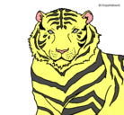 Dibujo Tigre pintado por DENISSSS