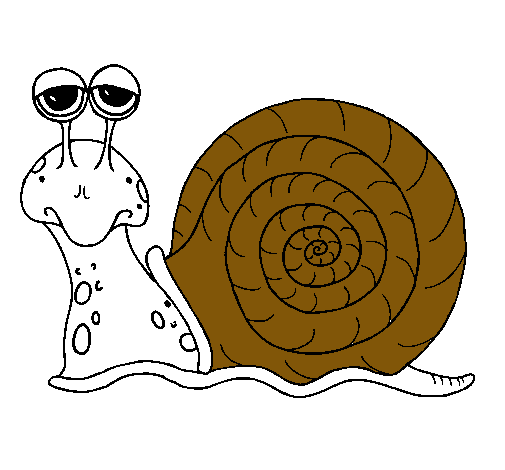 Caracol