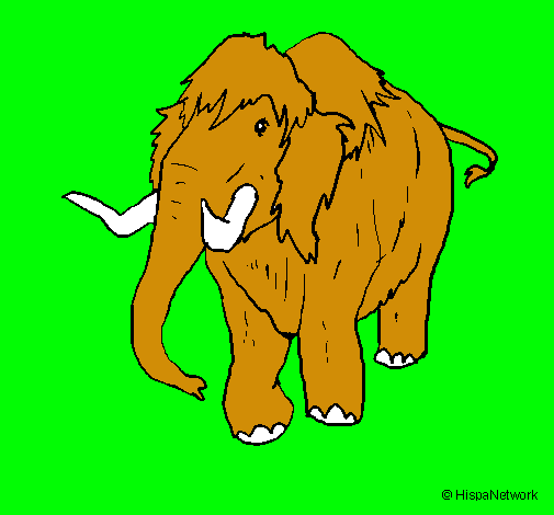 Mamut II