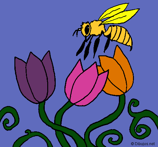 Abeja