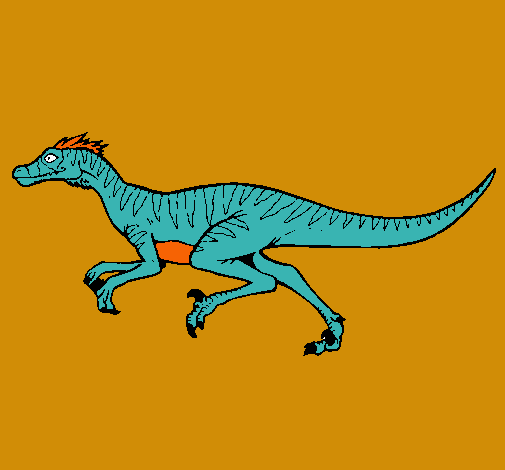 Velociraptor