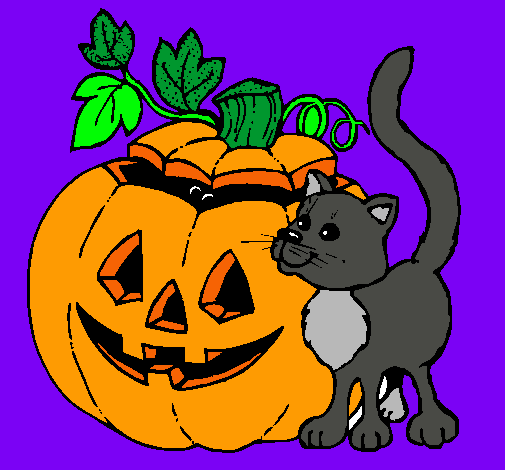 Calabaza y gato