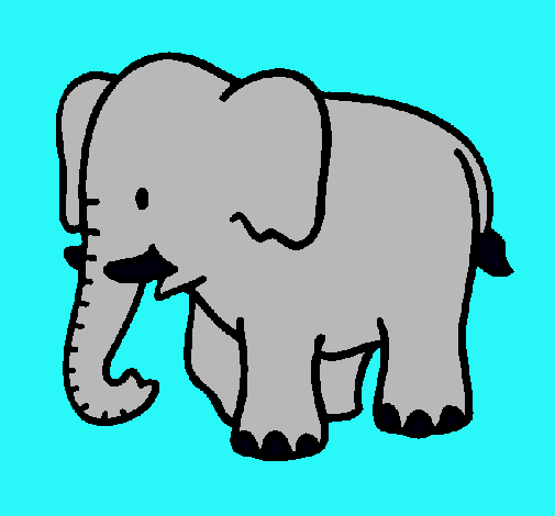 Elefante bebe