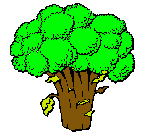 Brócoli