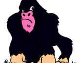 Dibujo Gorila pintado por polsala