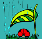 Dibujo Mariquita protegida de la lluvia pintado por monopoly