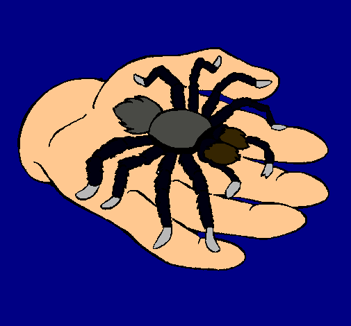 Tarántula